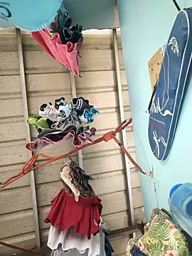 Sembang XXX Secara Langsung nastyladykinky432