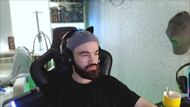 Show de _Mostly_ na webcam