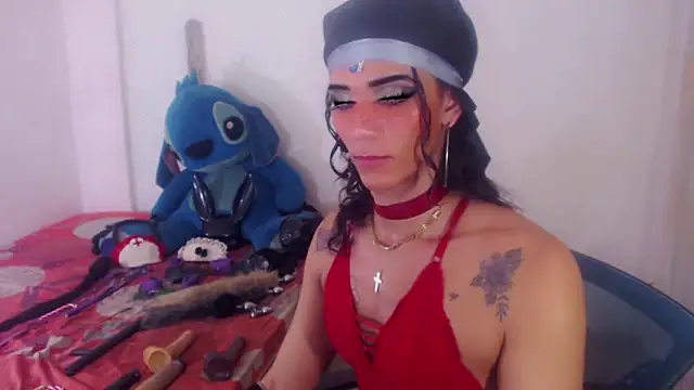 michaeldisstsn Webbikameraesitys