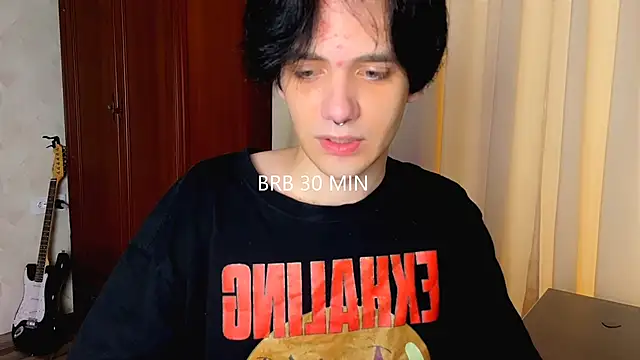 Show webcam de Zombde
