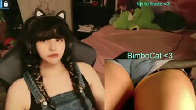 BimboCat Show in webcam