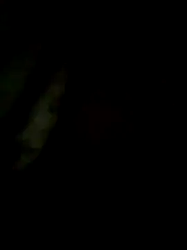 S7LEALTADPERVLIMA7 – webcam-show