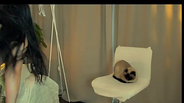 Helga_Fawx Adlı Modelin Canlı Sohbet Odası