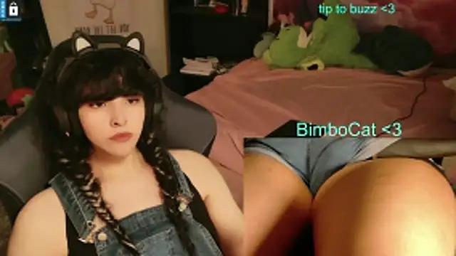 BimboCat élő XXX-chatje