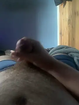 Show de webcam de 8point3inch