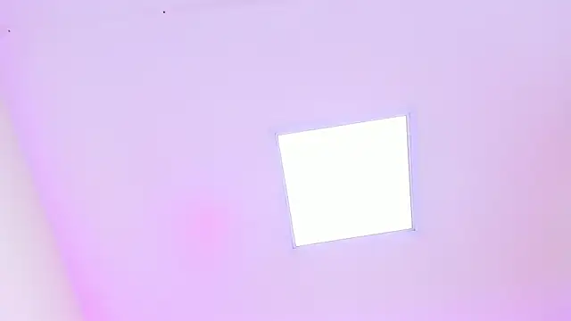 Shirleytaylor- 실시간 채팅방