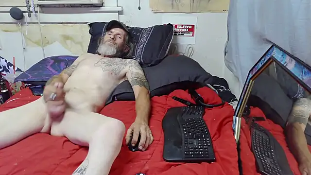 Show webcam de Spotless_Load