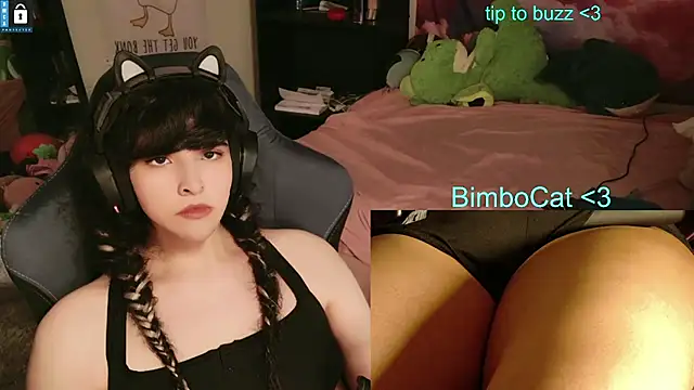 BimboCat: απευθείας συνομιλία ΧΧΧ