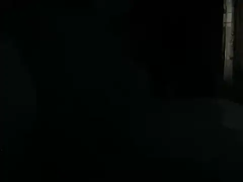 Вебкам-шоу skshork