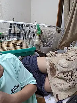 Show webcam de youheikun