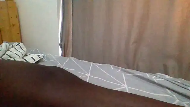 demo2004 Webcam Show