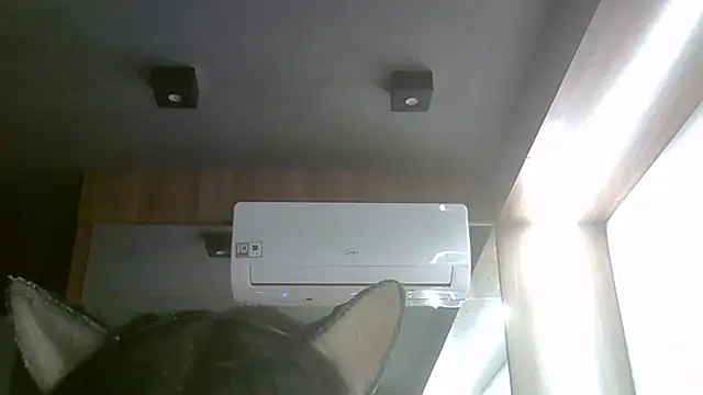 Show de webcam de SkinnyKitten