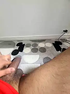 Lun4chuut's Webcam Show