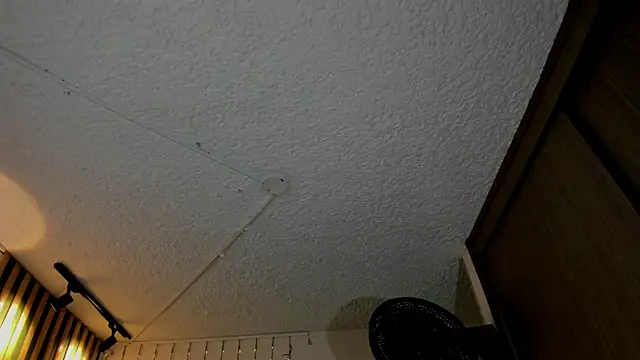 Pertunjukan Kamera Web lilith_ayanami