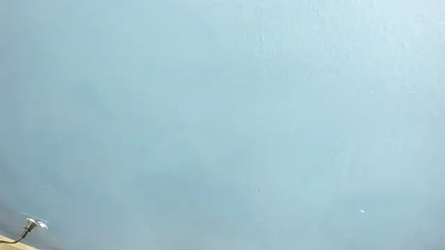Онлайн чат XXX Charlie___Musk