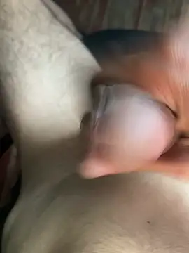 shulix Show in webcam