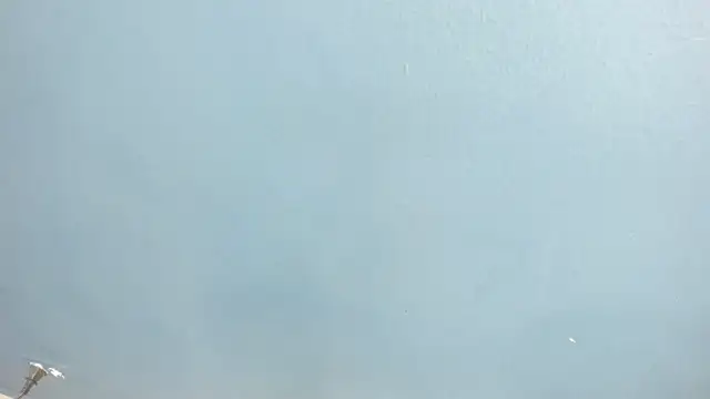 Charlie___Musk Live XXX Chat