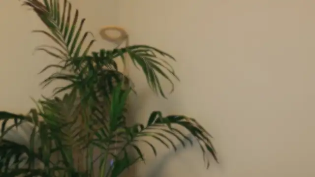 Živý XXX chat DivineLynn