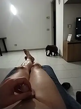 Meriozoro's Webcam Show