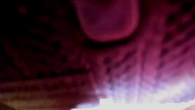VictoriaPaker Chat XXX live