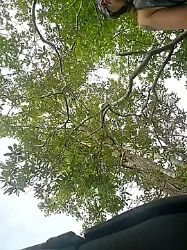 Chat +18 de pdoc07 ao vivo