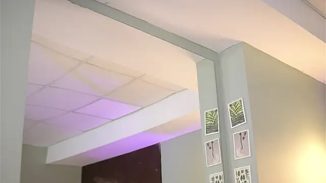 DariaVeil Webcam show