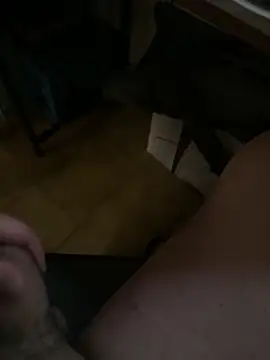 Area_76 Webcam show