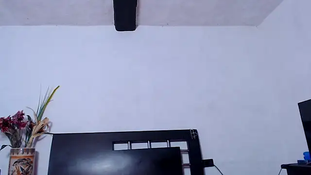 Chat XXX en directo de AikoTailor