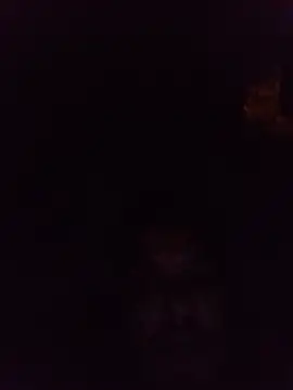 XXX chat uživo modela Ridick2025