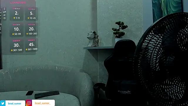 Brad_Summerのウェブカメラショー