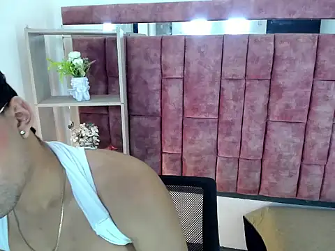 Show de Logaanhotts na webcam