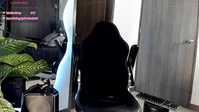 Dimitri_Bassn Webbikameraesitys