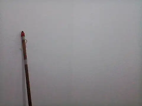 stallony Live XXX-Chat
