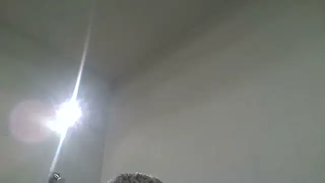 adepravertotal webkamerás műsora