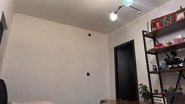 Chaptertoo Webcam show