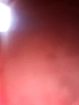 maxvergo Live XXX-chat