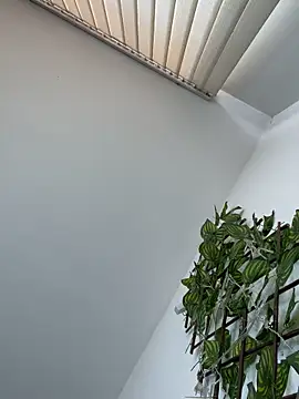 NelModel1 ওয়েবক্যাম শো