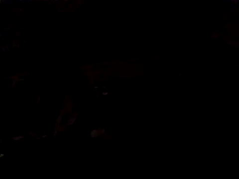 JJBATS ওয়েবক্যাম শো