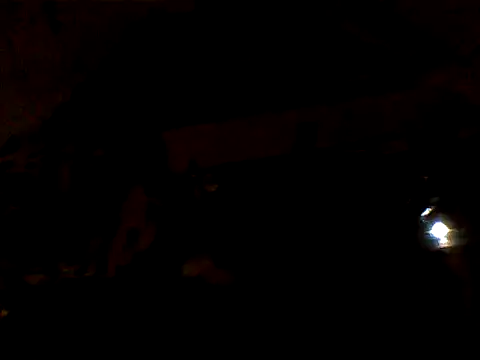 XXX chat uživo modela JJBATS