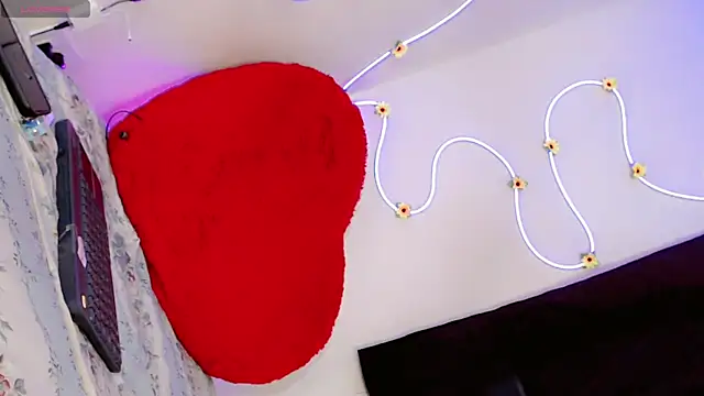 Show webcam de fer_sophia