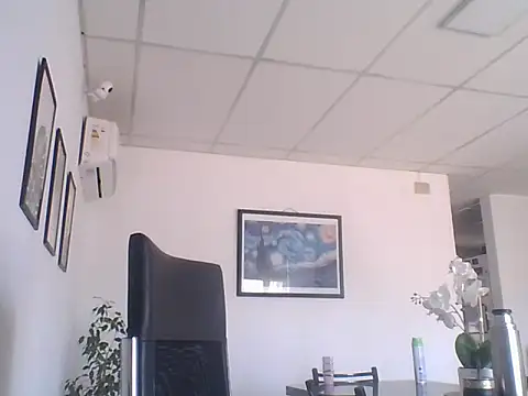 sebasevin Webbikameraesitys