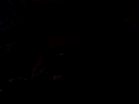 JJBATS live XXX chat