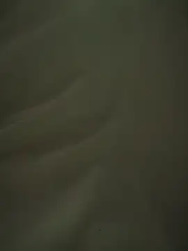 dvoiのウェブカメラショー
