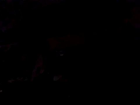 JJBATS Live XXX Chat