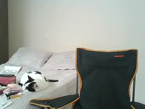 Chat XXX en directo de Victoria_club
