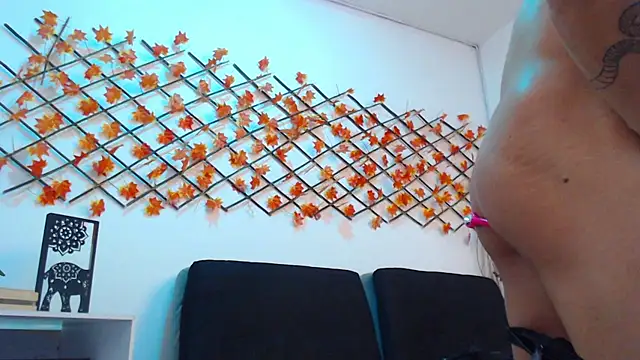IanWest_ Show Webcam