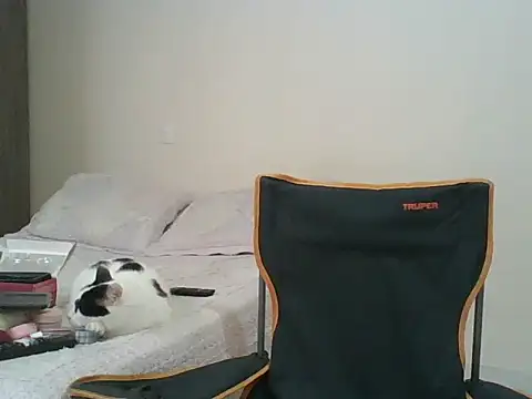 Victoria_club Live XXX-Chat