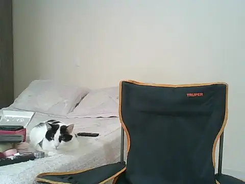 Živý XXX chat Victoria_club