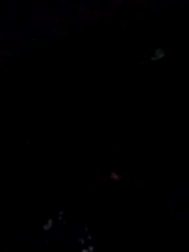 viswa_12b 在線直播表演