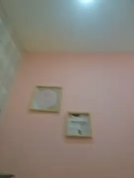 Chat XXX ao vivo de BriannaBunnyy